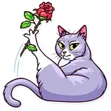 Sticker 6