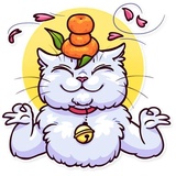 Meme Cats WhatsApp Sticker #7