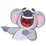 Koala Chuck