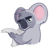 Koala Chuck WhatsApp Sticker #10