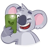Koala Chuck WhatsApp Sticker #11
