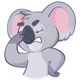 Koala Chuck WhatsApp Sticker #12