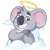 Koala Chuck WhatsApp Sticker #15