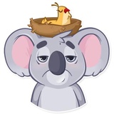 Koala Chuck WhatsApp Sticker #16