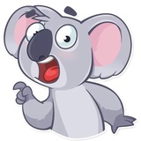 Koala Chuck WhatsApp Sticker #18