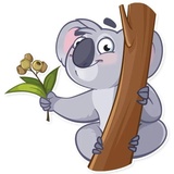 Koala Chuck WhatsApp Sticker #19