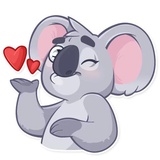 Koala Chuck WhatsApp Sticker #2