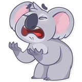 Koala Chuck WhatsApp Sticker #21