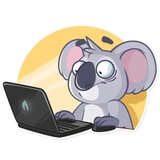 Koala Chuck WhatsApp Sticker #24