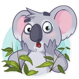Koala Chuck WhatsApp Sticker #4