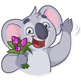 Koala Chuck WhatsApp Sticker #5