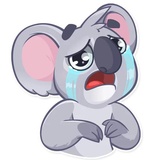 Koala Chuck WhatsApp Sticker #9