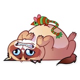 Kooky Cat WhatsApp Sticker #11