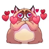 Sticker 13