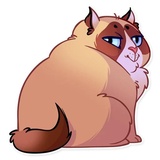 Kooky Cat WhatsApp Sticker #14