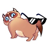Kooky Cat WhatsApp Sticker #17