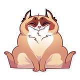 Kooky Cat WhatsApp Sticker #19