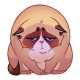 Kooky Cat WhatsApp Sticker #22