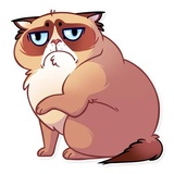 Kooky Cat WhatsApp Sticker #23