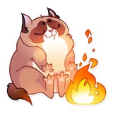 Kooky Cat WhatsApp Sticker #24