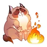 Sticker 24
