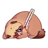 Kooky Cat WhatsApp Sticker #27