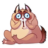Kooky Cat WhatsApp Sticker #29