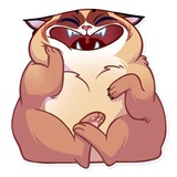 Kooky Cat WhatsApp Sticker #3