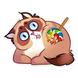 Kooky Cat WhatsApp Sticker #30