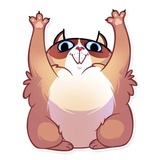 Kooky Cat WhatsApp Sticker #5