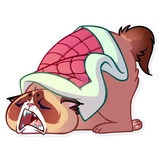 Kooky Cat WhatsApp Sticker #6