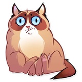 Kooky Cat WhatsApp Sticker #8