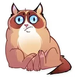 Sticker 8