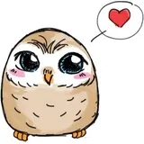 A Little cute OWL