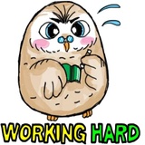 A Little cute OWL WhatsApp Sticker #10