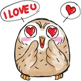 A Little cute OWL WhatsApp Sticker #13