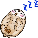 A Little cute OWL WhatsApp Sticker #22