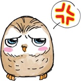 A Little cute OWL WhatsApp Sticker #3