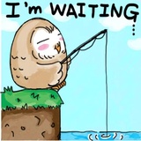 A Little cute OWL WhatsApp Sticker #30