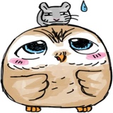 A Little cute OWL WhatsApp Sticker #5