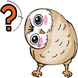 A Little cute OWL WhatsApp Sticker #6