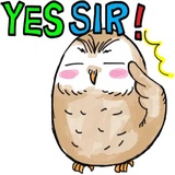 A Little cute OWL WhatsApp Sticker #9