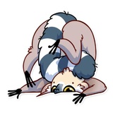 Tailor the Lemur WhatsApp Sticker #18