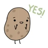 Sticker 17