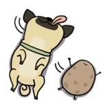 Sticker 6