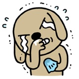 Brown Dog WhatsApp Sticker #10