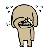 Brown Dog WhatsApp Sticker #13