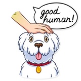 Mark Lizardberg WhatsApp Sticker #24