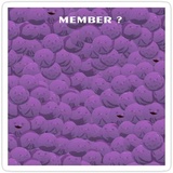 Member Berries WhatsApp Sticker #18