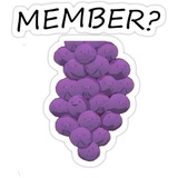 Member Berries WhatsApp Sticker #4